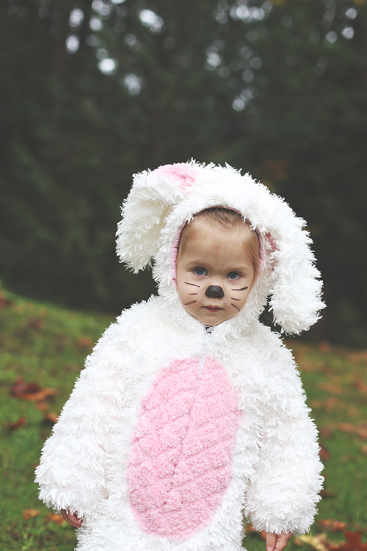 DIY Bunny Costume - Sew Much Ado