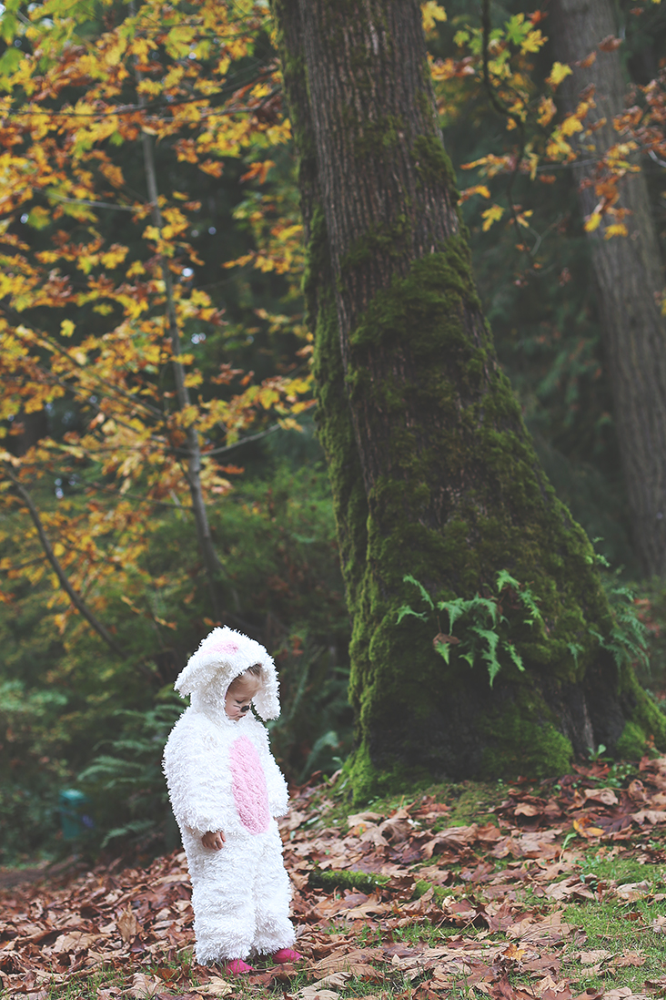 DIY Bunny Costume - Sew Much Ado