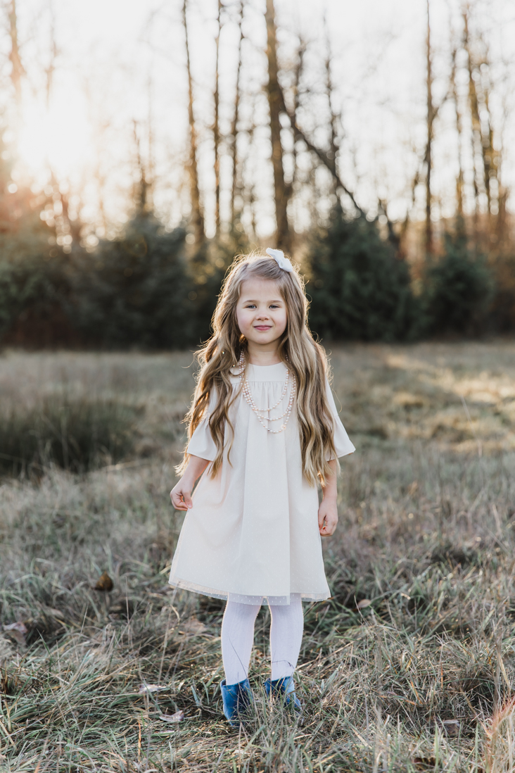 Girl s Ruffle Sleeve Dress Free Pattern Sew Much Ado